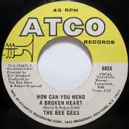 Bee Gees - How Can You Mend A Broken Heart