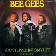 Bee Gees - You Stepped Into My Life