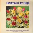 Double LP - Meisterwerke der Musik - Beethoven, Schumann, Wagner, Schubert, Mozart