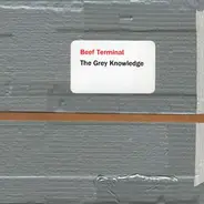 Beef Terminal - The Grey Knowledge