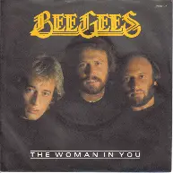 Bee Gees - The Woman In You