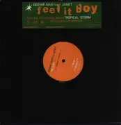 12inch Vinyl Single - Beenie Man Feat. Janet - Feel It Boy