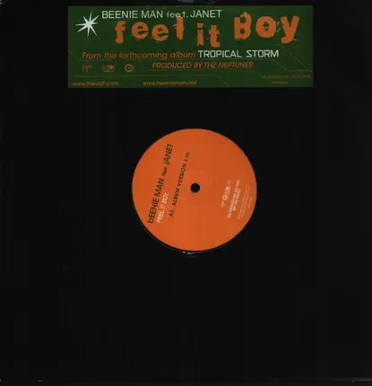 Beenie Man Feat. Janet - Feel It Boy