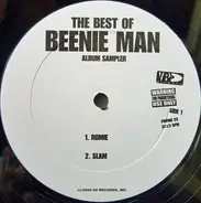 Beenie Man - Best Of Beenie Man Album Sampler