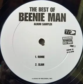 Moses Davis - Best Of Beenie Man Album Sampler