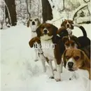 7'' - Beirut - East Harlem/goshen