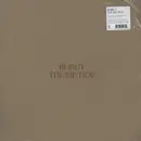 LP & MP3 - Beirut - The Rip Tide - Clear vinyl, insert