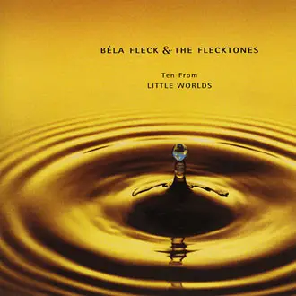 Bela Fleck And The Flecktones - Ten from Little Worlds