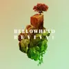 LP - Bellowhead - Revival