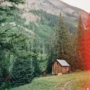 Bellows - Do This Again Tomorrow