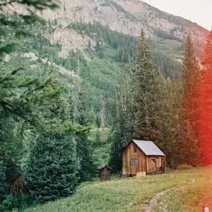 Bellows - Do This Again Tomorrow