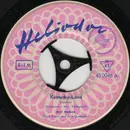 7inch Vinyl Single - Bert Hansen - Kentucky-Land - Mono