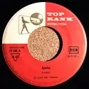 7inch Vinyl Single - Bert Weedon - Apache  /  Lonely Guitar - Mono