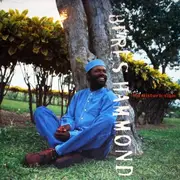 12inch Vinyl Single - Beres Hammond - No Disturb Sign