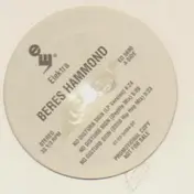 Beres Hammond - No Disturb Sign