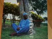 12inch Vinyl Single - Beres Hammond - No Disturb Sign