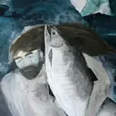 CD - Bergen - Zeiten Für Kerle - Digi sleeve