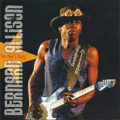 Bernard Allison - The River's Rising