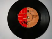 berni flint - Beautiful Loser