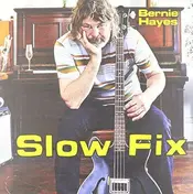 Bernie Hayes - Slow Fix