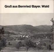 Bernrieder Musikanten - Gruß Aus Bernried/Bayer. Wald