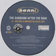 BERRi - The Sunshine After The Rain