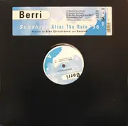 12inch Vinyl Single - BERRi - Sunshine After The Rain '96
