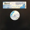 12inch Vinyl Single - BERRi - Sunshine After The Rain '96