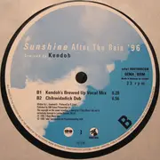 12inch Vinyl Single - BERRi - Sunshine After The Rain '96