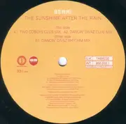 12inch Vinyl Single - BERRi - Sunshine After The Rain