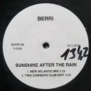12inch Vinyl Single - BERRi - Sunshine After The Rain