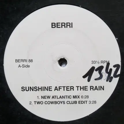 BERRi - Sunshine After The Rain