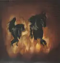 LP - Besnard Lakes - Are The Dark Horse