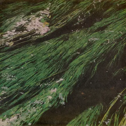Beth Hirsch - Miner's Son
