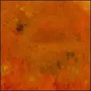 CD - Bevel - Where Leaves Block The Sun