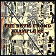 The Bevis Frond - Example 22