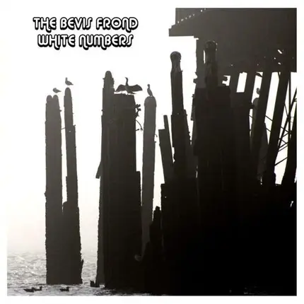 Bevis Frond - White Numbers