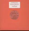 12inch Vinyl Single - Beyoncé, Missy Elliot, Mc Lyte, P.Diddy And Free - Fighting Temptation/ Summertime