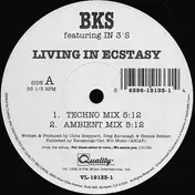 BKS - Living In Ecstasy