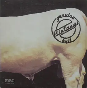 The Bintangs - Genuine Bull