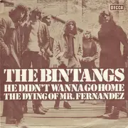 7inch Vinyl Single - Bintangs - He Didn't Wanna Go Home / The Dying Of Mr. Fernandez