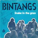7inch Vinyl Single - Bintangs - Snake In The Grass