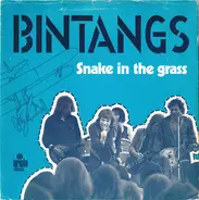 Bintangs - Snake In The Grass