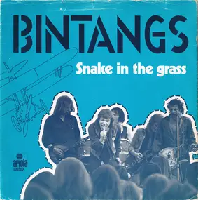 The Bintangs - Snake In The Grass