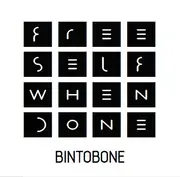 CD - Bintobone - Free Self When Done