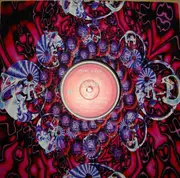 12'' - Binary Finary - 1998 / Zapya