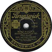 Bing Crosby - What A Little Moonlight Can Do / Down By The Riverside