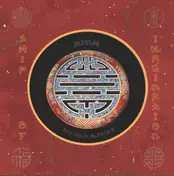 Binh - Ship Of Imagination