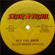 Bionic Steve - Fly The Gate