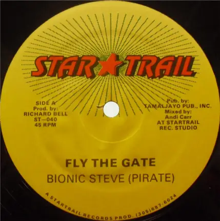 Bionic Steve - Fly The Gate